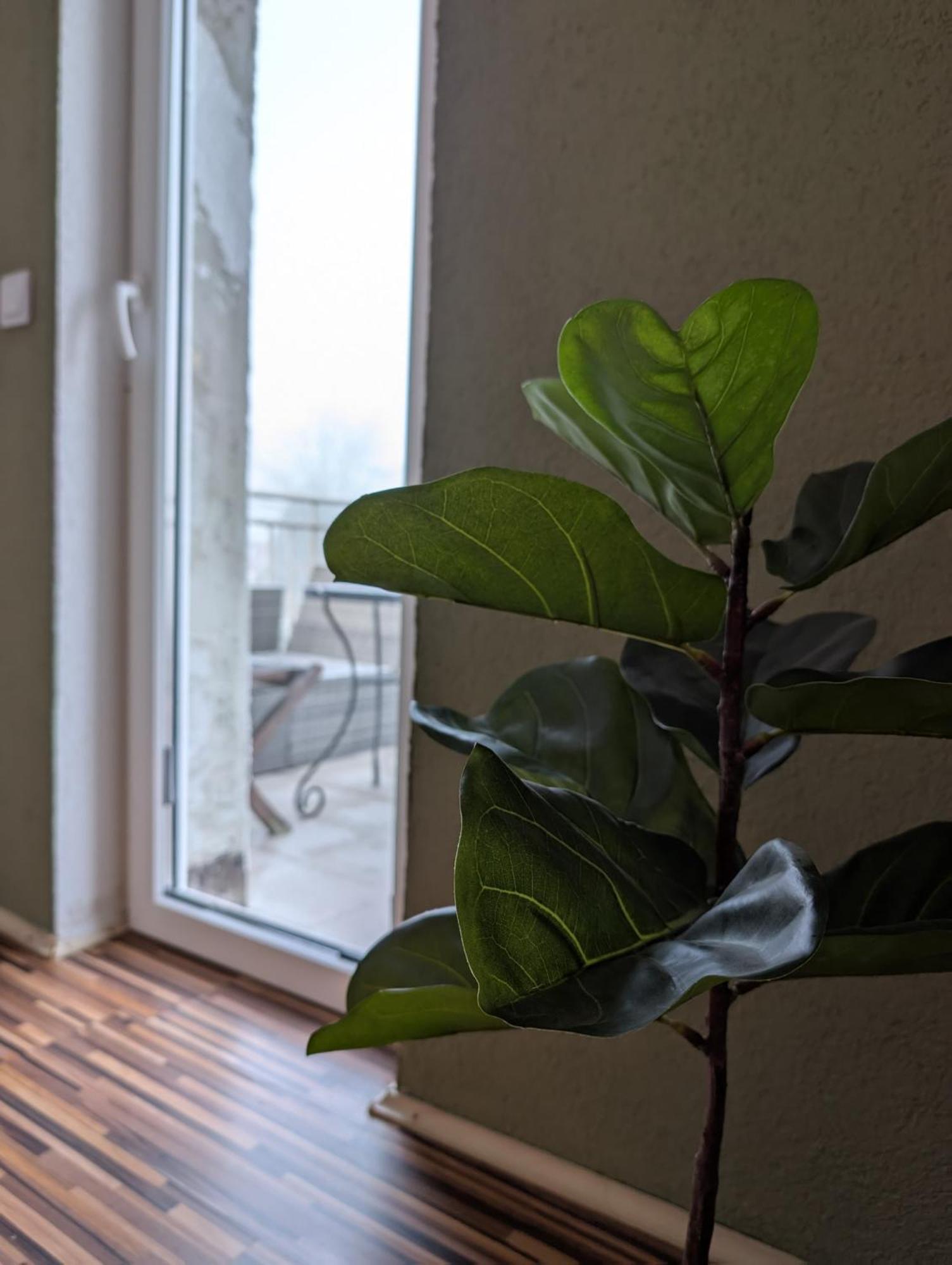 Apartment Maisonettewohnung Am Badesee Bei Kassel *